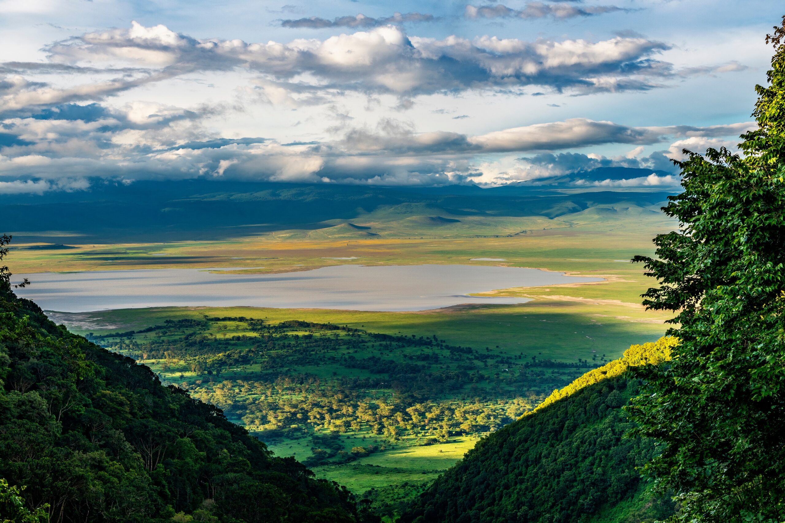 Ngorongoro
